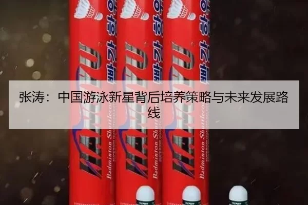 张涛：中国游泳新星背后培养策略与未来发展路线